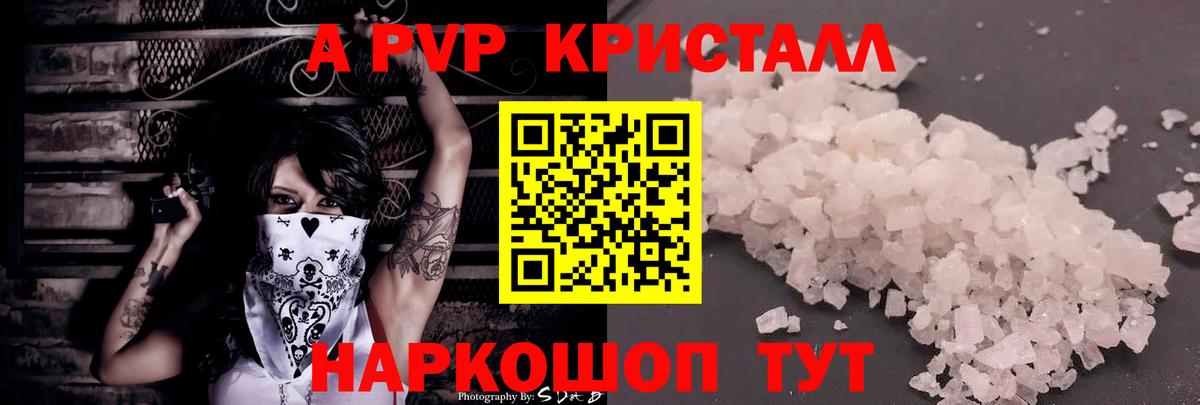 Альфа ПВП СК Шахты