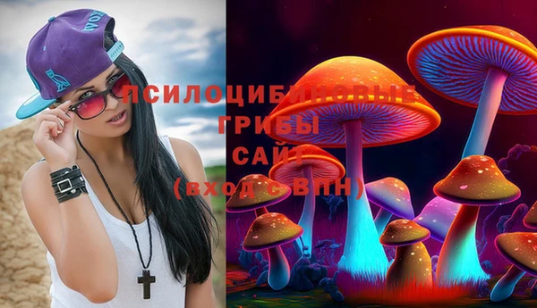 синтетический гашиш Алексеевка