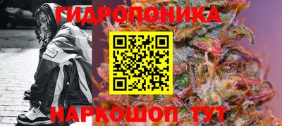 сатива Краснознаменск