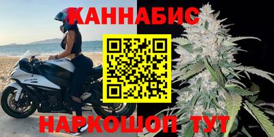 сатива Краснознаменск