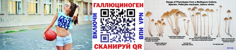 мега ONION  Шахты  Галлюциногенные грибы MAGIC MUSHROOMS  как найти закладки 