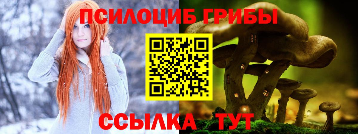 Галлюциногенные грибы прущие грибы  Галлюциногенные грибы прущие грибы  Вход с VPN  Шахты 