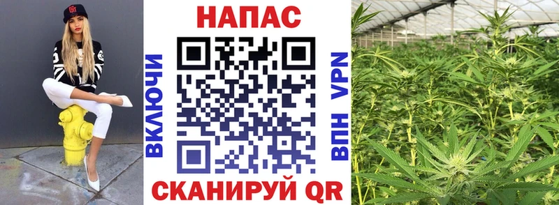 Марихуана марихуана  хочу наркоту  Шахты 